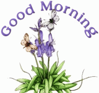 a picture of purple flowers with butterflies and the words " good morning "