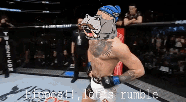 a man with a hippo on his face stands in a ring with the words hippost let 's rumble below him