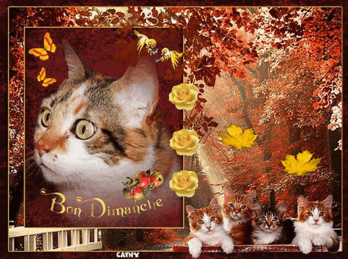 a picture of a cat and kittens with the words bon dimanche on the bottom
