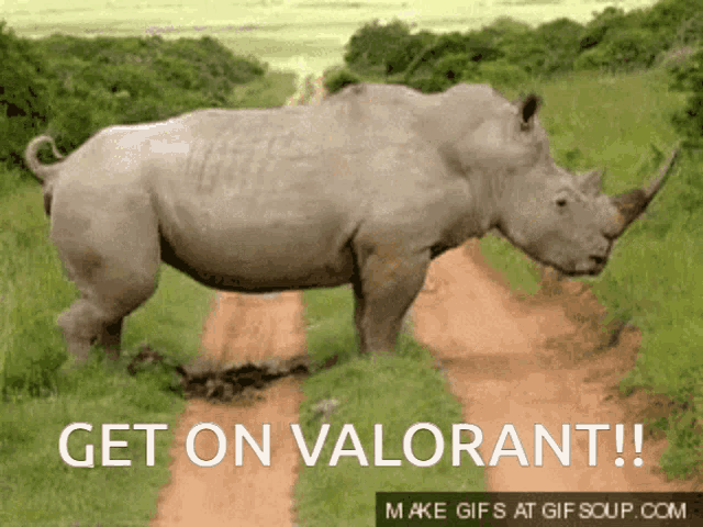 Valorant Get On GIF - Valorant Get On Poop GIFs