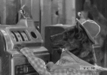 a black and white photo of a dog wearing a cowboy hat next to a machine that says tcm