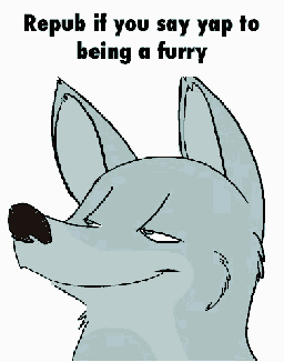 a cartoon of a wolf laughing with the words repub if you say yap to being a furry underneath it