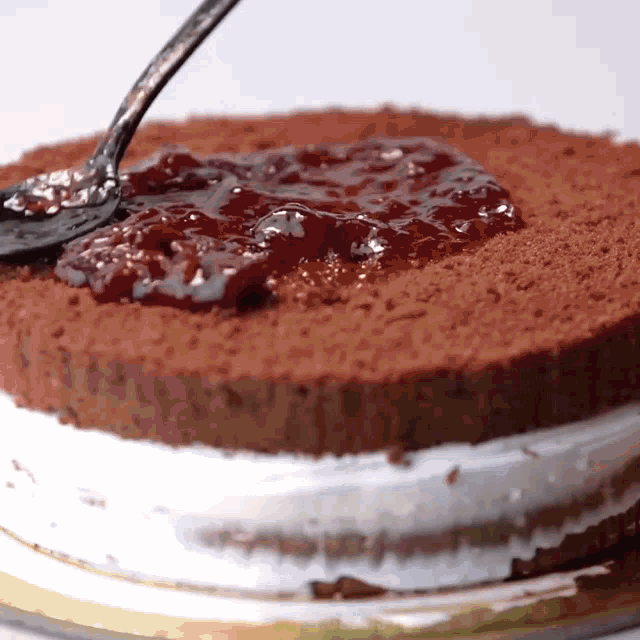 a close up of a chocolate cake with a spoon on top