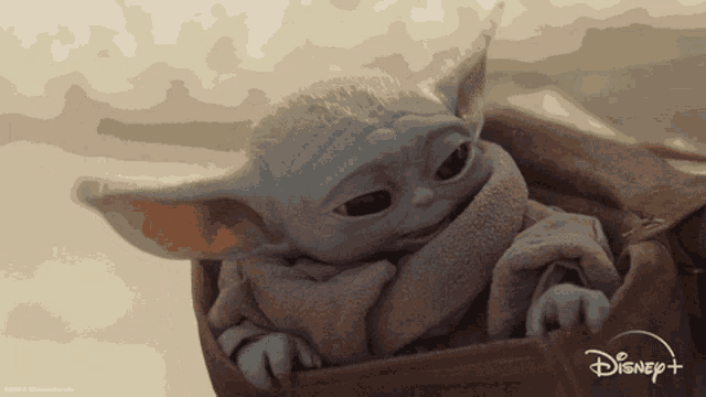 a baby yoda from the mandalorian is sitting in a disney + blanket