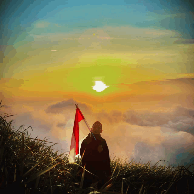 a man is holding a red flag in front of a sunset