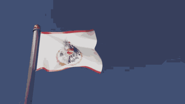Sarkozy Lotc GIF