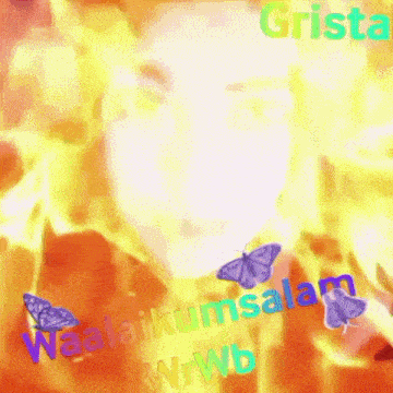 two butterflies are flying in front of a fire with the words waalaikumsalam wrwb