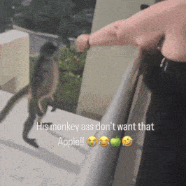a monkey standing next to a woman with the caption his monkey ass don 't want that apple