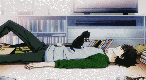 a person laying on the floor with a cat on their chest