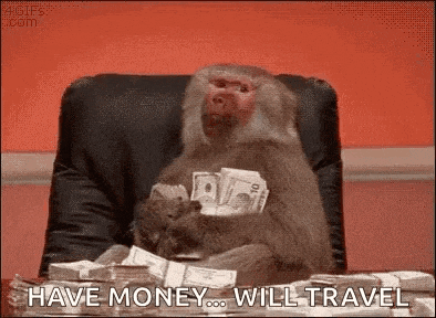 a monkey is sitting in a chair holding a bunch of money and says `` have money will travel '' .