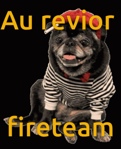 Fireteam GIF - Fireteam GIFs