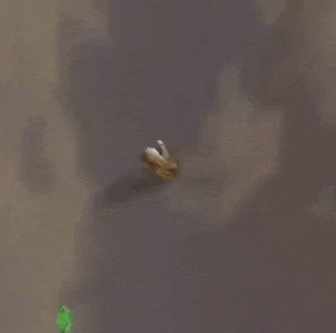 a cheetah is flying through the air in a minecraft video game .
