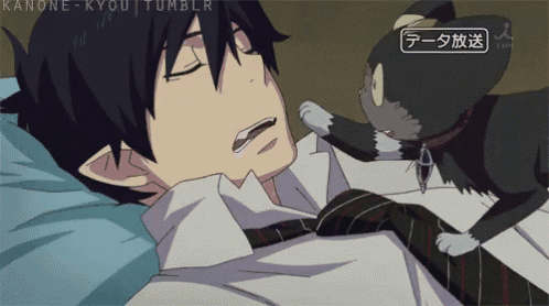 a cartoon of a man sleeping next to a cat with kanone-kyou tumblr written in the corner