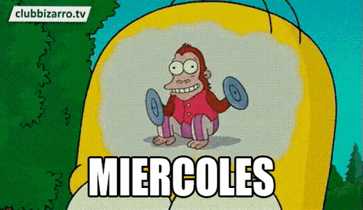 Miercoles GIF