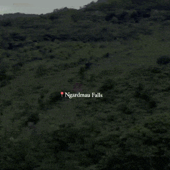 an aerial view of ngardmau falls surrounded by lush greenery