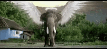 an elephant with angel wings and a halo around its head is walking down a dirt road .