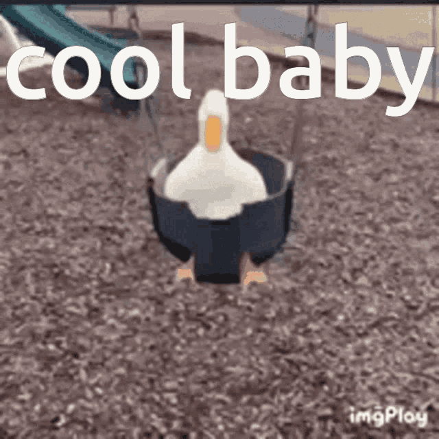 Cool Baby Mmmm GIF - Cool Baby Mmmm Duck GIFs