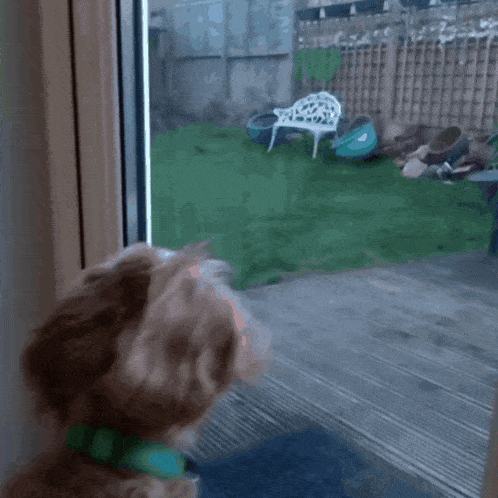 a blurred image of a backyard with a white chair
