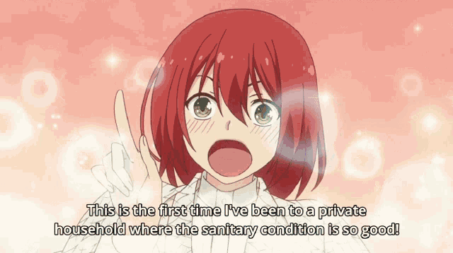 a girl with red hair says this is the first time i 've been to a private household where the sanitary condition is good