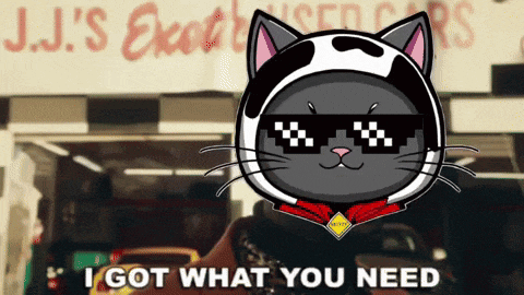 a cartoon cat wearing sunglasses and a helmet says " i got what you need "