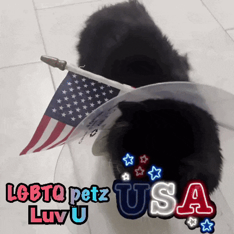 a picture of a cat with an american flag and the words lgbtq petz usa