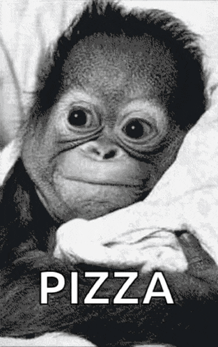 a black and white photo of a baby monkey with the word pizza written below it