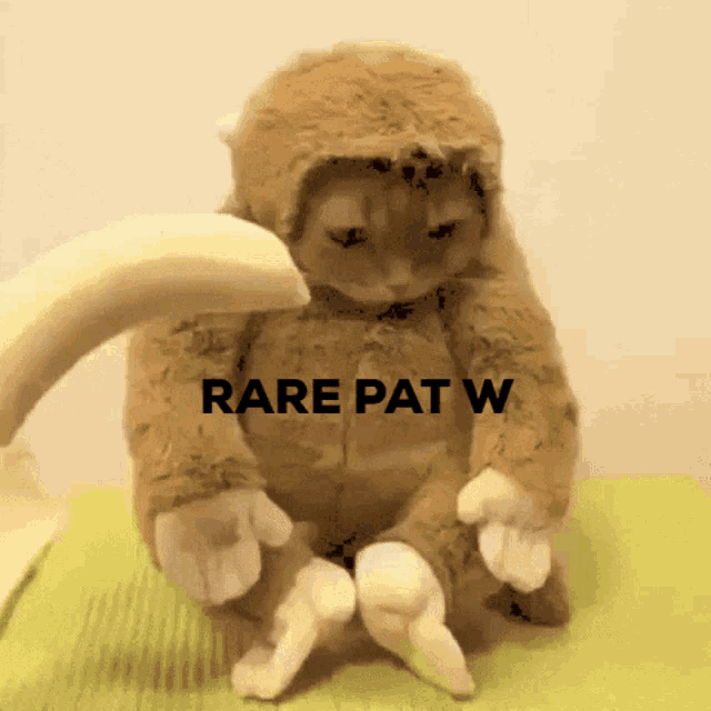 Rare Pat W Rare W GIF - Rare Pat W Rare W Rare Pat GIFs