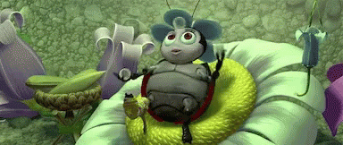 Ladybug Francis GIF - Ladybug Francis A Bugs Life GIFs