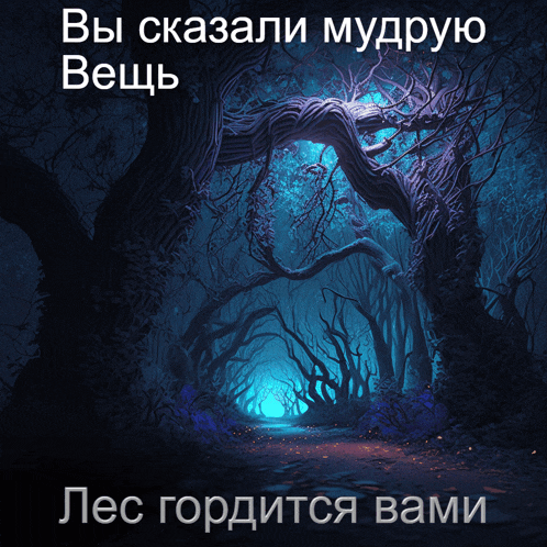 a picture of a dark forest with the words " вы сказали мудрую вещь " on it