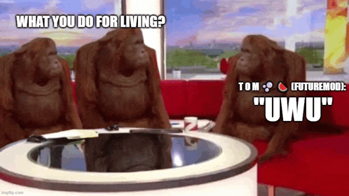 three orangutans are sitting on a couch in a living room .
