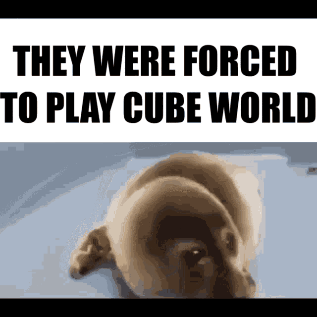 Cube World Forced GIF - Cube World Forced Forced To Play GIFs