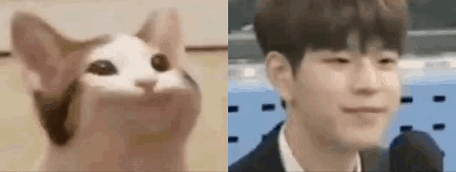 a cat is making a funny face next to a man making a funny face .