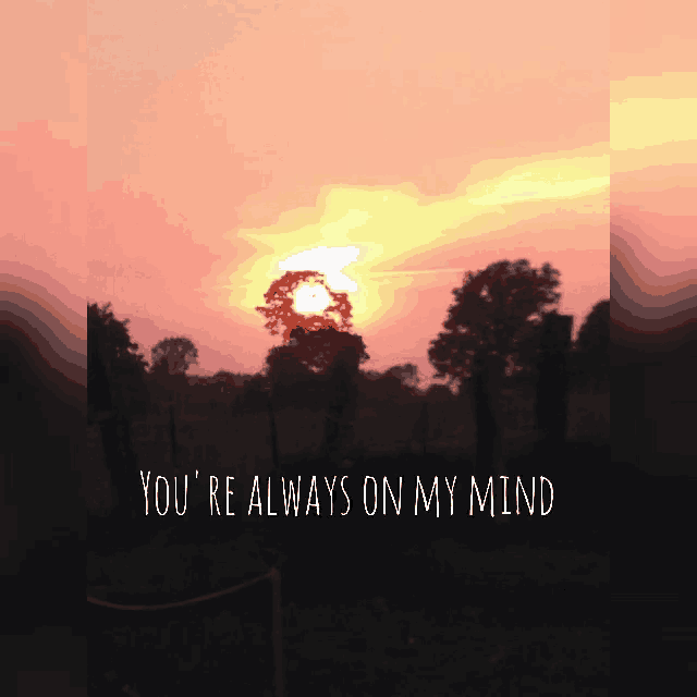 a sunset with the words " you 're always on my mind "