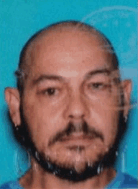 a man with a beard and a bald head looks at the camera with a blue background