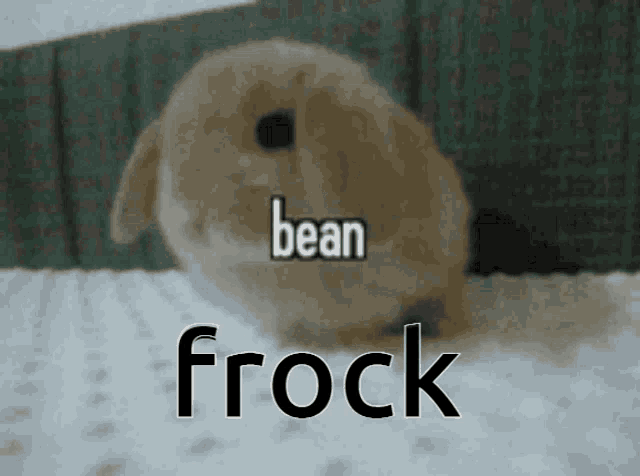 a picture of a rabbit with the words bean frock on it