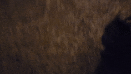 a blurred image of a person walking on a concrete surface