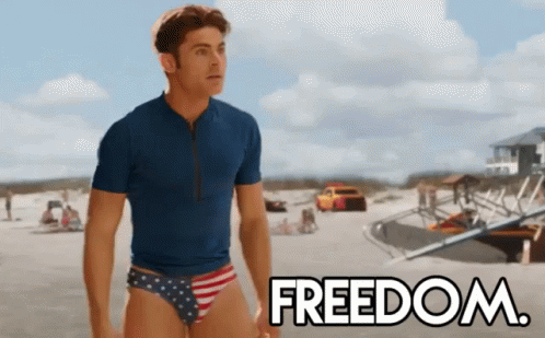 Freedom GIF - Freedom Zac Efron Baywatch GIFs