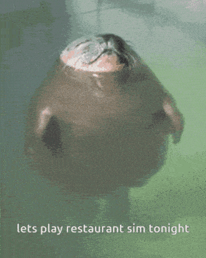 a picture of a seal with the words lets play restaurant sim tonight on the bottom