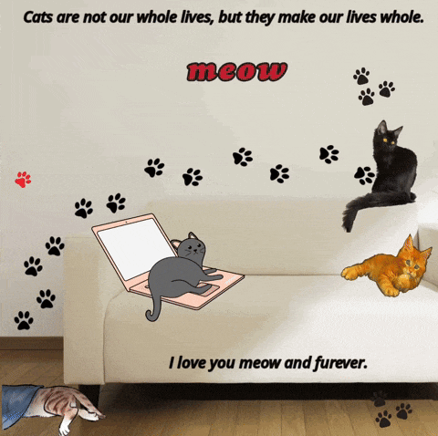 a poster that says cats are not our whole lives but they make our lives whole meow