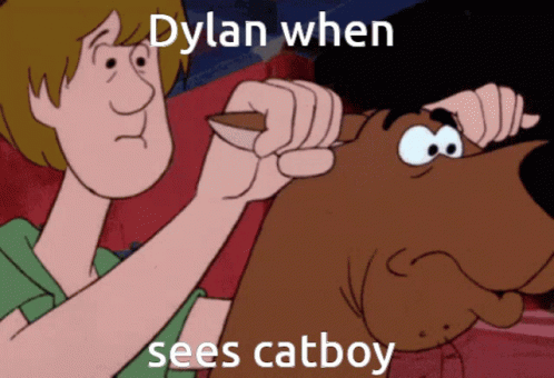 Dylan When Sees Catboy GIF - Dylan When Sees Catboy GIFs