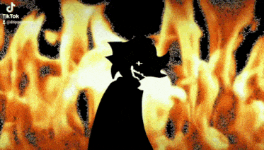 a silhouette of a person standing in front of a fire with the hashtag tik tok