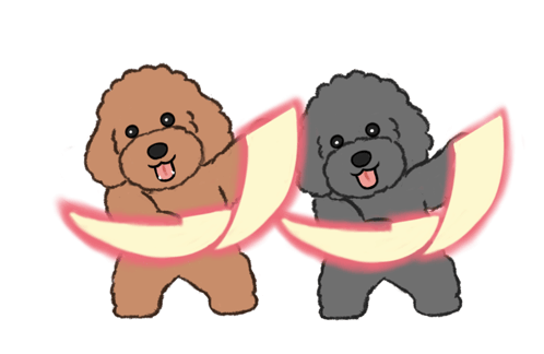 Dtvip Poodle GIF - Dtvip Poodle 貴賓狗 GIFs