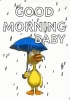 Good Morning Baby Duck GIF - Good Morning Baby Duck Rainy Day GIFs