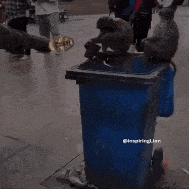 a monkey sitting on top of a blue trash can that says inspiring lion