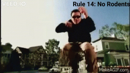 Rule14no Rodents GIF - Rule14no Rodents GIFs
