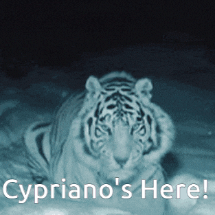 a picture of a tiger with the words cypriano 's here