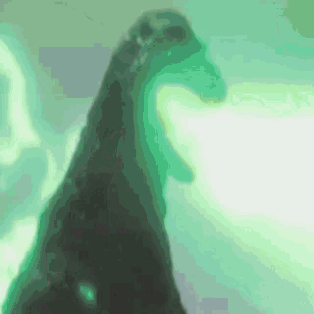 a close up of a bird 's head against a green background