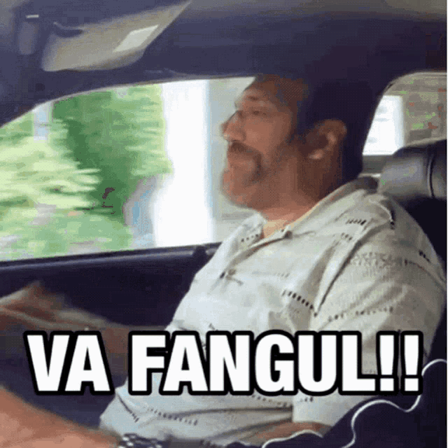 a man driving a car with the words va fangul