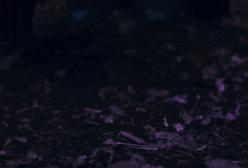a woman in a purple robe is holding purple lightning in her hands
