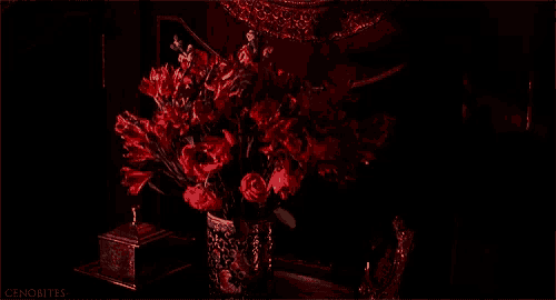 a vase filled with red flowers sits on a table in the dark